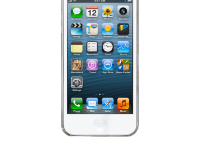 Mobile Phone Security