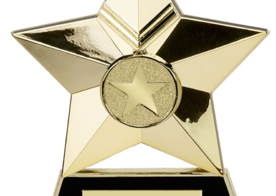 Chris Gummer, Rising Star