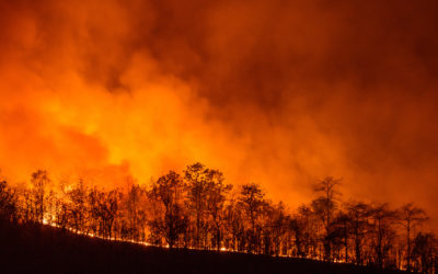 California Wildfire Occurrences Highest in October