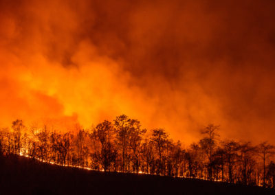 California Wildfire Occurrences Highest in October