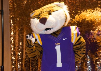 Global Data Vault Repeats In the LSU 100